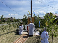 IMG_2587-2-1024x768.jpeg