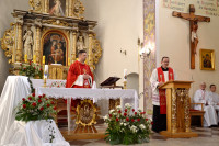 Odpust św. Doroty
