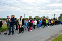 Droga Światła Żerniki - Rogowo 16. 05. 2026